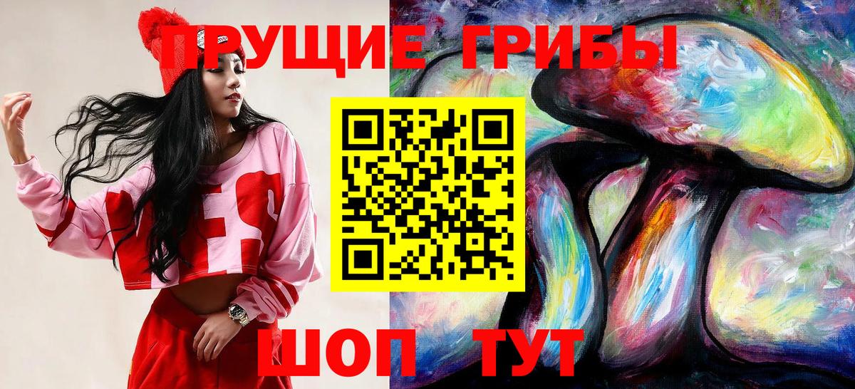 Ачхой-Мартан  Галлюциногенные грибы мицелий  Вход с VPN  Галлюциногенные грибы MAGIC MUSHROOMS 