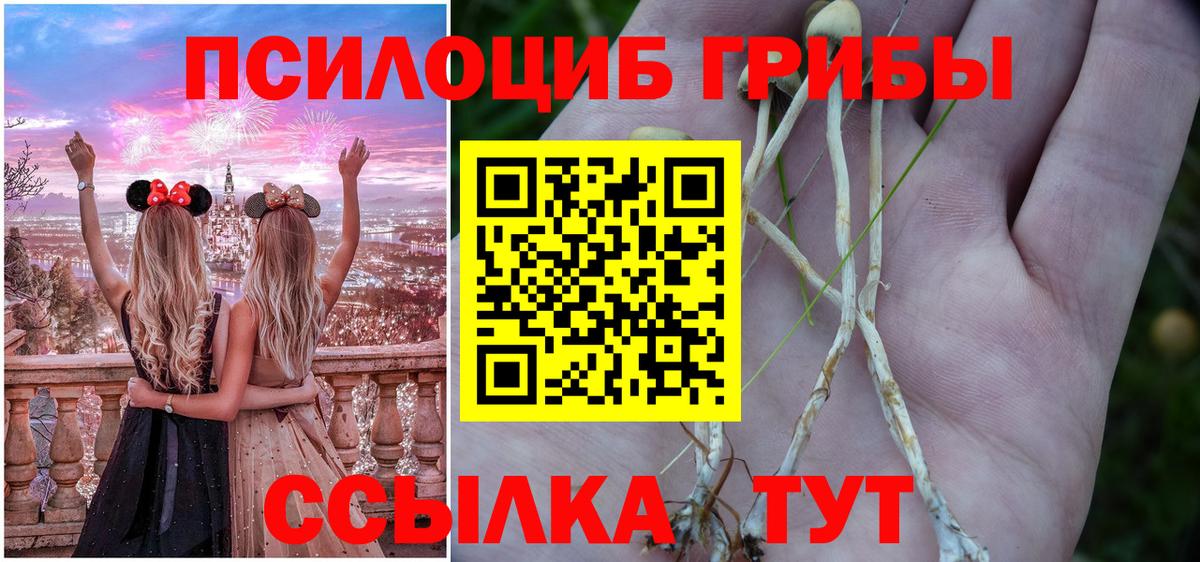 Псилоцибиновые грибы Psilocybine cubensis Ачхой-Мартан
