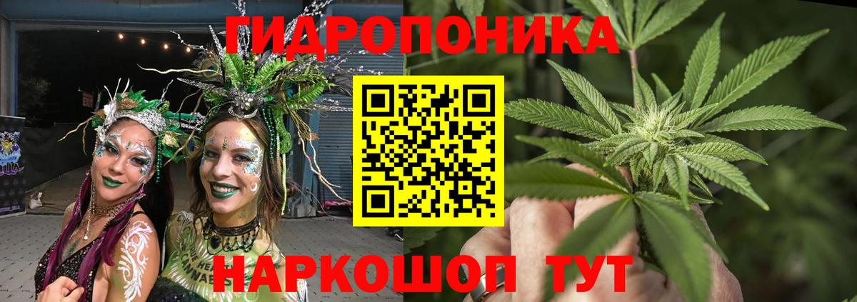 Ачхой-Мартан  Бошки Шишки VHQ  Вход с VPN  Шишки марихуана LSD WEED  Бошки Шишки Amnesia 